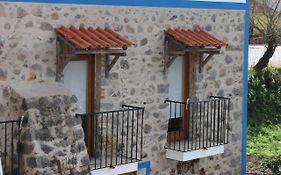 Horta do Zé Miguel
